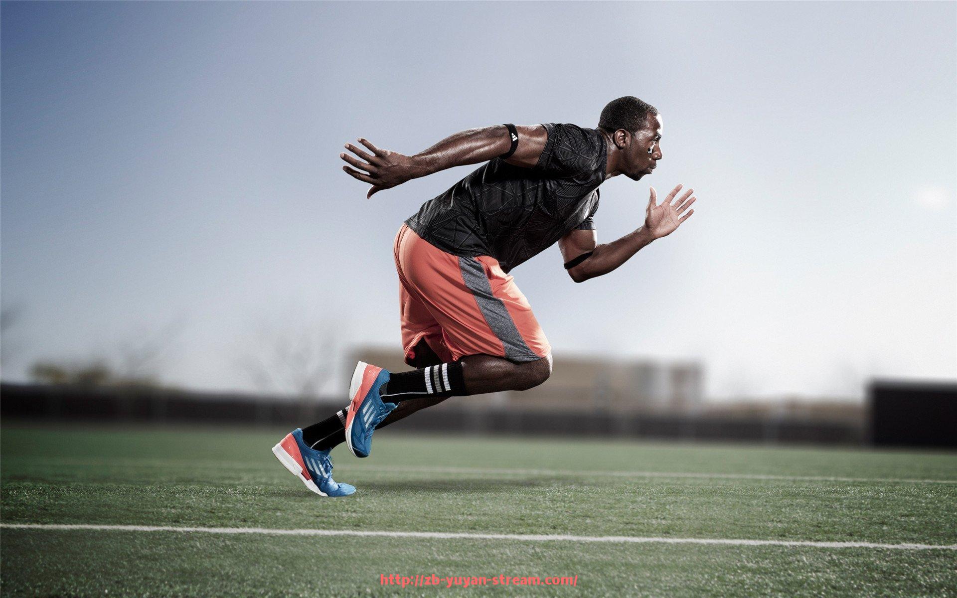 雨燕直播-世俱杯赞助品牌推广方案设计与市场响应分析