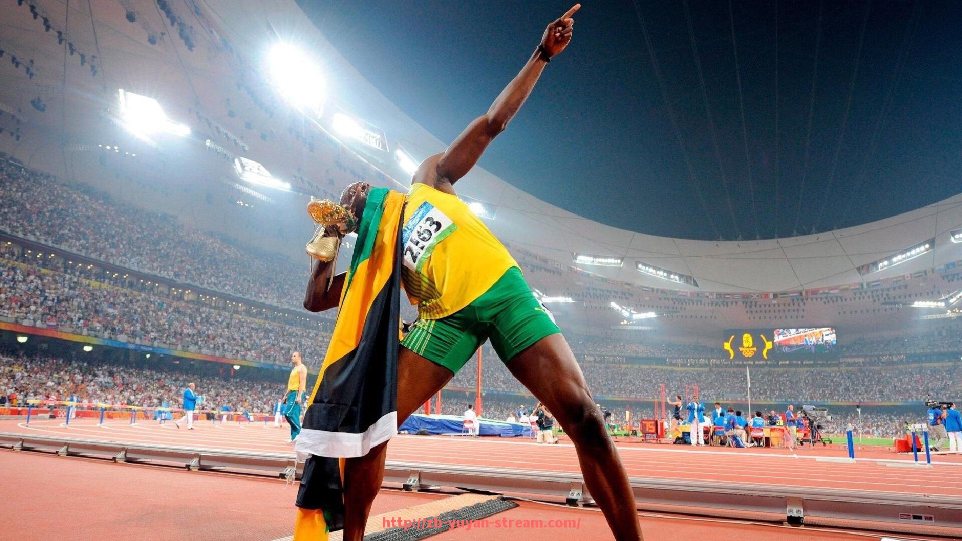 雨燕直播-健身器材功能介绍与如何选择合适产品