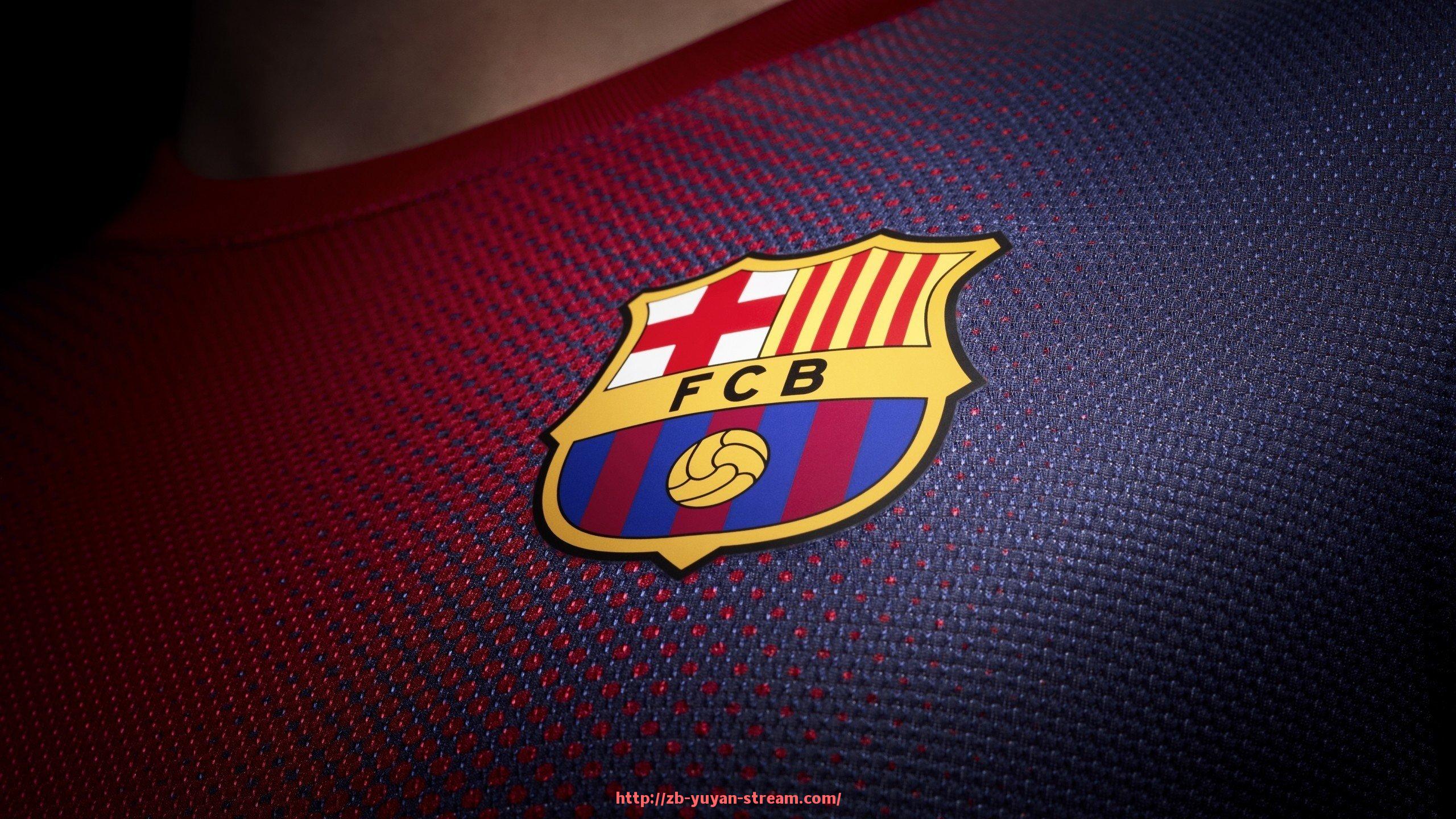 雨燕直播-湖南健身器材外贸商及体育器械国际贸易市场分析