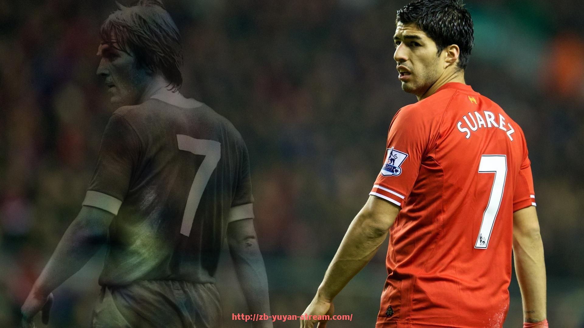 雨燕直播-真正的德甲球队队员名单全披露：2025年赛季完整数据