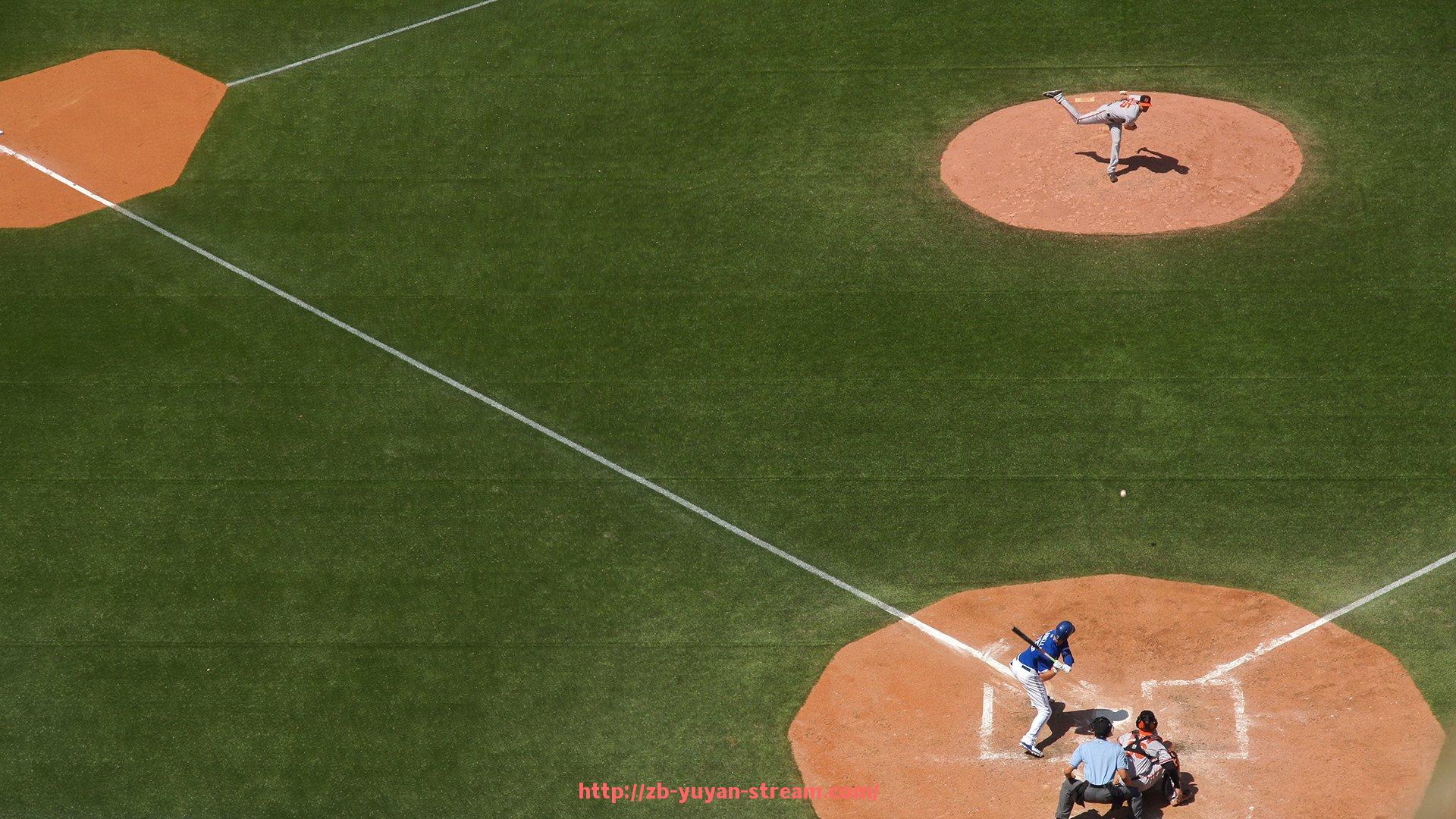 雨燕直播-私教健身器材介绍及如何科学选择辅助工具